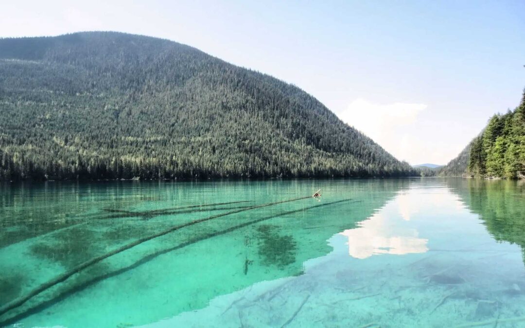 Innovative Beaver Management at Johnson Lake Resort