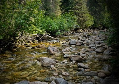 Trans Mountain Watercourse Crossing Remediation