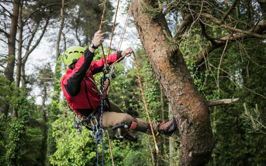 Climbing to New Heights