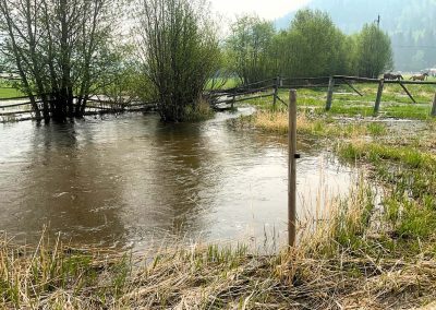 Whitecroft Restoration Project