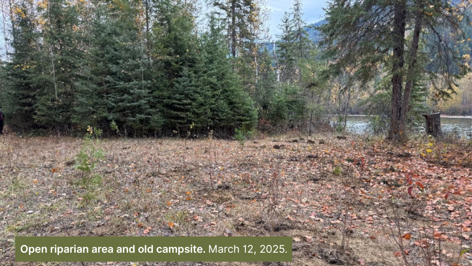 Open riparian area and old campsite, March 2025